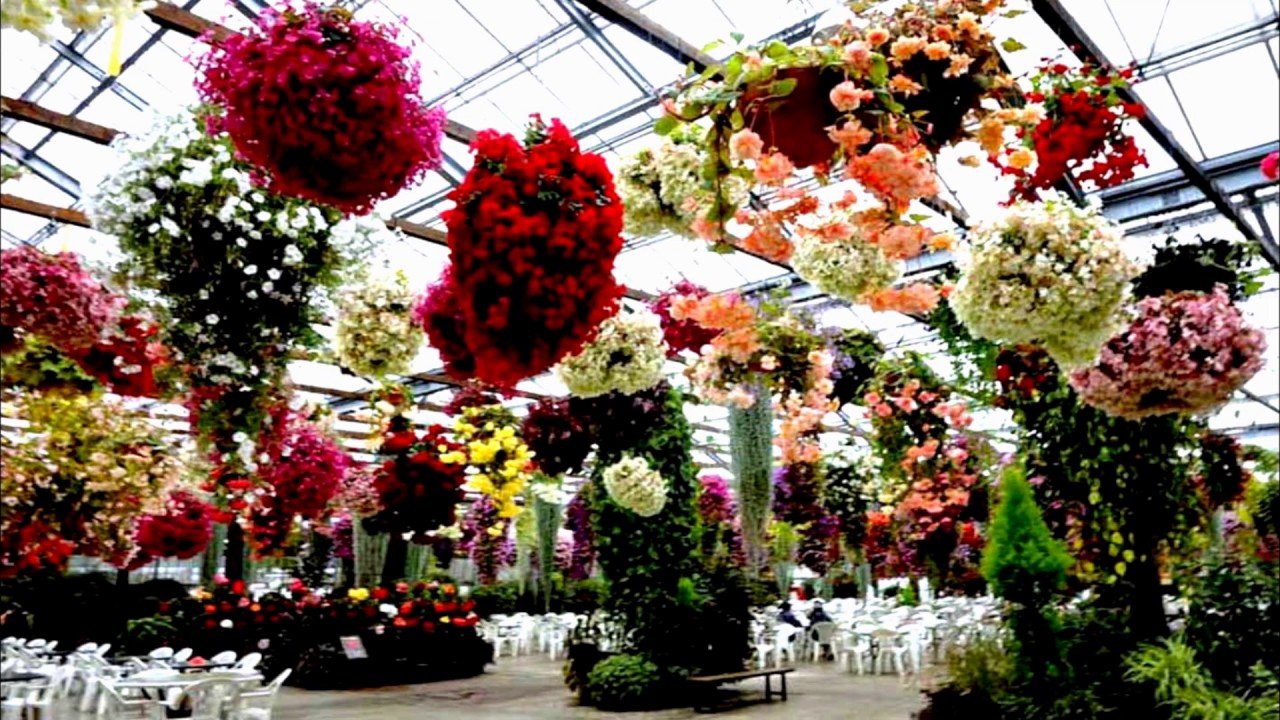 🌸 후지 화조원(후지카초엔) 이미지 7